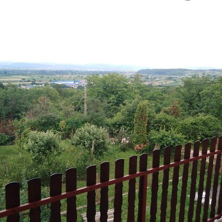 Вілла Dedinje Ягодина Екстер'єр фото